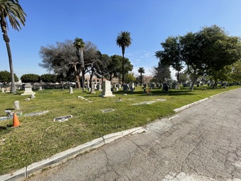 Enlarge photo 17