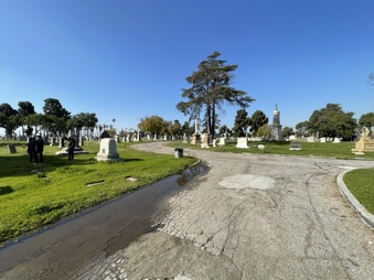 Enlarge photo 19