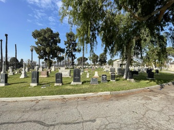 Enlarge photo 34