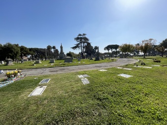 Enlarge photo 7