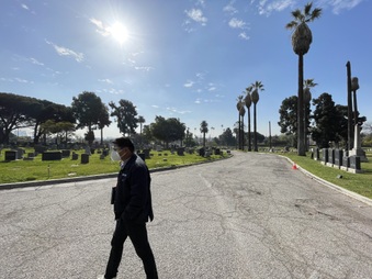 Enlarge photo 36