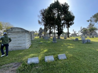 Enlarge photo 16