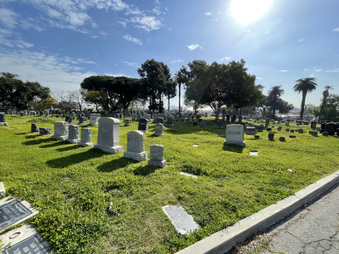 Enlarge photo 33