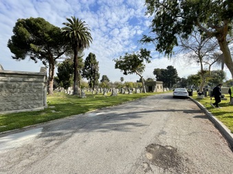 Enlarge photo 40