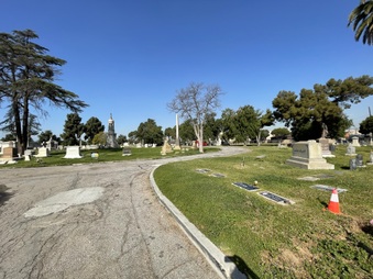 Enlarge photo 18