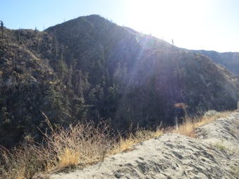 Angeles Forest Highway Bridge