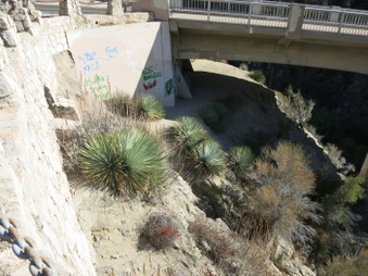 Enlarge photo 39