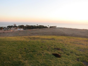 Enlarge photo 47