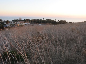 Enlarge photo 50