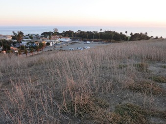 Enlarge photo 52