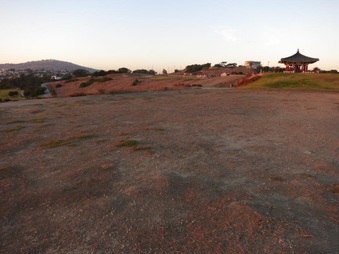 Enlarge photo 61