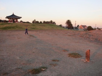 Enlarge photo 62