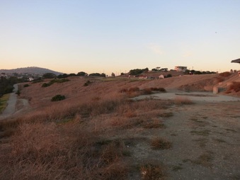 Enlarge photo 64