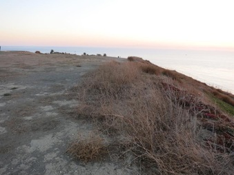 Enlarge photo 65