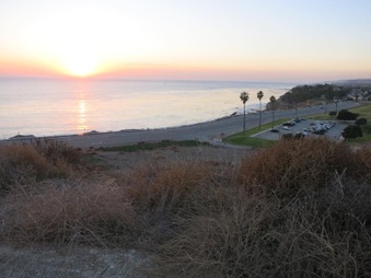 Enlarge photo 67