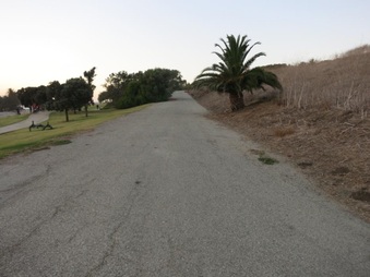Enlarge photo 71
