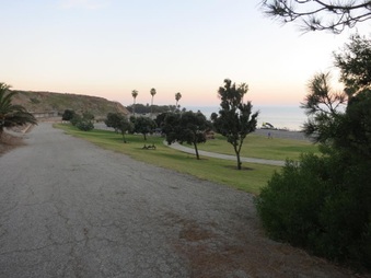 Enlarge photo 74