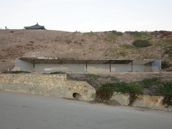 Enlarge photo 84