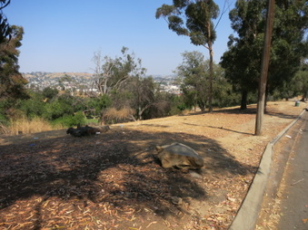 Enlarge photo 3