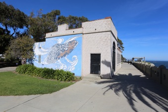 Enlarge photo 32