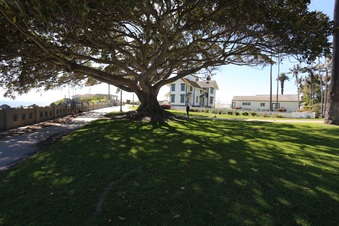 Enlarge photo 33
