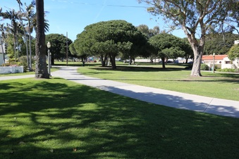 Enlarge photo 35