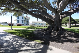 Enlarge photo 41
