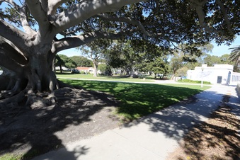 Enlarge photo 43
