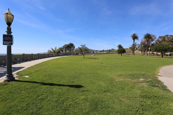 Enlarge photo 58