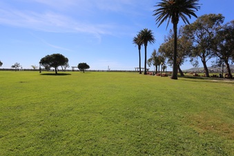 Enlarge photo 70