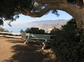 Enlarge photo 16