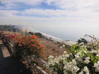 Enlarge photo 25