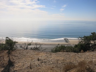 Enlarge photo 30