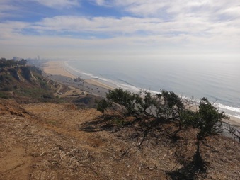 Enlarge photo 31