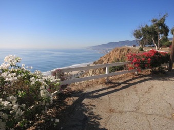 Enlarge photo 32