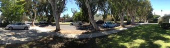 Enlarge photo 5