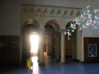Enlarge photo 62