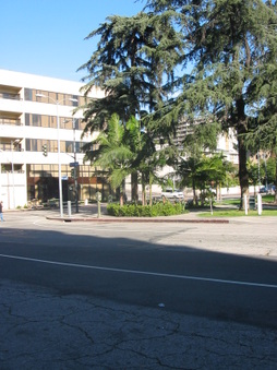 Enlarge photo 68