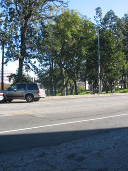 Enlarge photo 71
