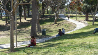 Enlarge photo 84