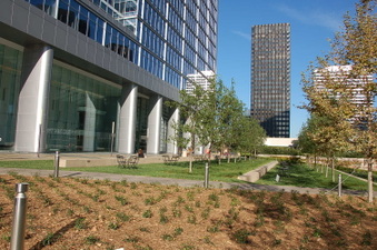 Enlarge photo 61