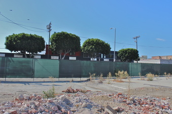 Enlarge photo 10