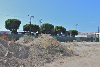 Enlarge photo 14
