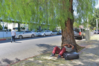 Enlarge photo 42