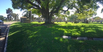 Enlarge photo 3