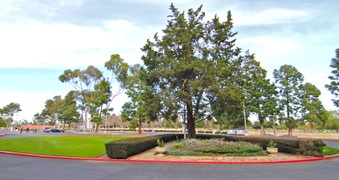 Enlarge photo 39