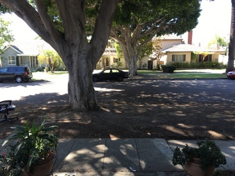Enlarge photo 3