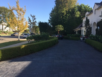 Enlarge photo 5