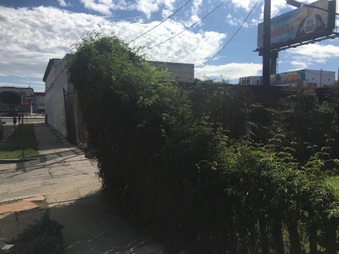 Enlarge photo 8