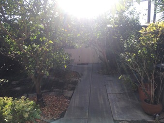 Enlarge photo 29